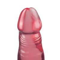 Crystal Jellies Anal Delight - Paars
