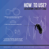 Lockdown Kuisheidskooi - Medium