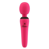 PalmPower - Groove Mini Wand Fuchsia