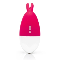 Happy Rabbit – Knicker Vibrator – Discreet Genot Pink