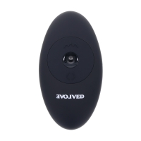 Evolved - Black Thunder Vibrerende Dildo - 25 cm